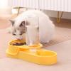 Dog Feeder Automatic Pet Water Dispenser Slow Feeder Bowl for Pets Anti-Choking Design Dry Wet Food Separation Bowl for Dog Cat