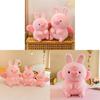 Flying Pig Plush Toy With Short Pile Velvet For Kids And Teens Gift