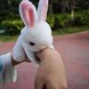 Rabbit Stuffed Animals Slap Bracelets for Kids Plush Animal Slap Snap Bracelets Bulk Bunny Wrist Bands Party Favors Gifts