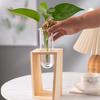 Hydroponic Glass Container Vase Jars Modern Simple Plants Terrarium Container Desk Decor Ideal Gifts for Families Friends