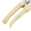 Stainless Steel Pruning Shears for Fruit, Flower, and Branch Gardening