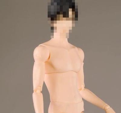Scale Action Figure MAF BODY Ver12 Standard Skin Male Body and Clothes Not [TOYBARJAPAN] 1/6 MAF12-NY Man's (head Included)