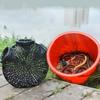 Mesh for Fishing Net/Cage/Tackle Crayfish Catcher Landing/Cast Net Folding Cast