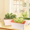Self-Watering Windowsill Planter Kit: Modern Plastic Herb Garden Set with Visible Water Level Indicator - Suitable for Indoor
