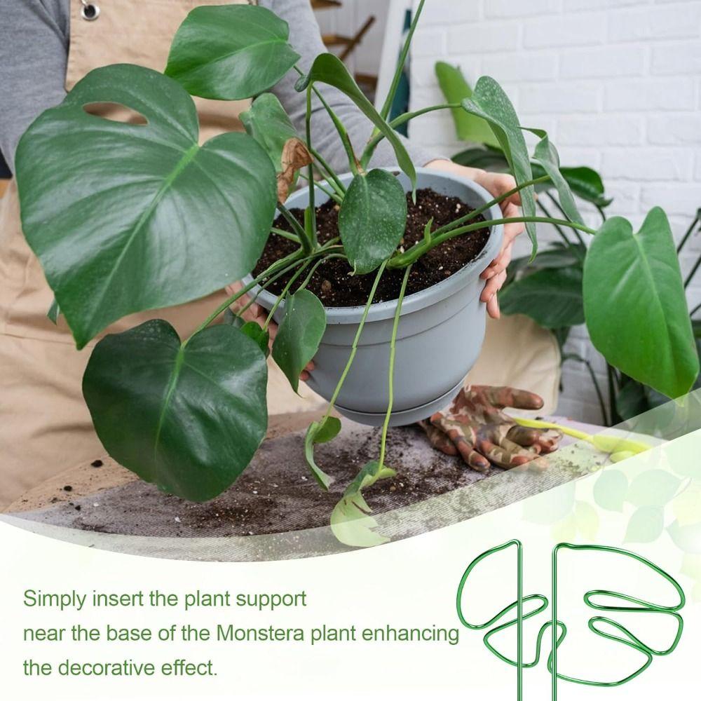 Support Branches Plant Support Ring Garden Tools Plant Retaining Support  for Flower Lovers