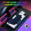 G69 USB Wired Gaming Keyboard 87 Keys Mechanical Feeling Gamer Keyboard Glowing Keyboard for Computer Laptop FDS
