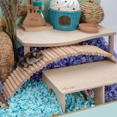 Pet Bridge Toy Bur-free Bite Resistant Natural Wood Hamster Parrot Ladder Toy for Gerbils