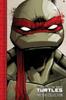 Teenage Mutant Ninja Turtles Die IDW Collection Band 1 von Tom Waltz Taschenbuch 9781684058662