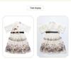 2024 Children's Day Caiyun Zhuiyue Hanfu: Short Sleeve Ancient Style Dress for Boys and Girls