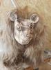 Accesorii de petrecere – Accesorii de Halloween