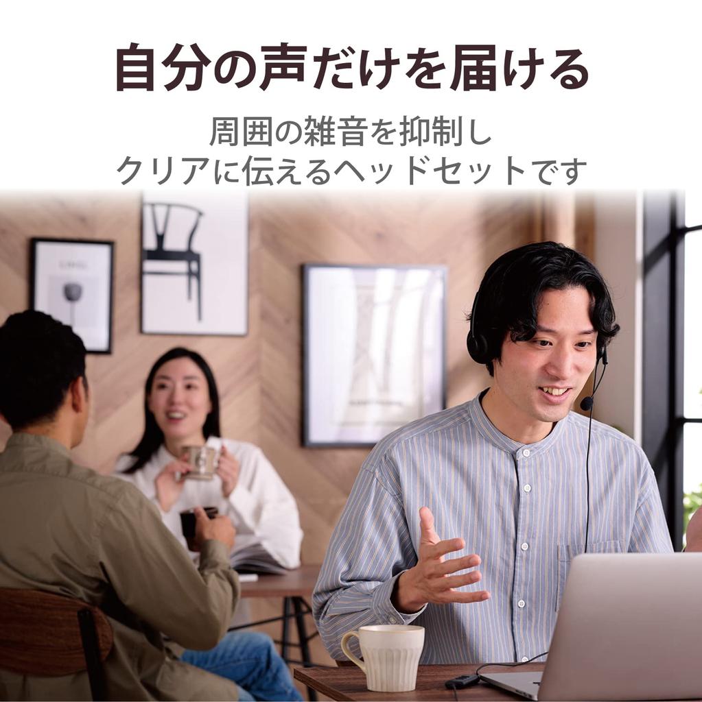 Elecom Wired USB Dual Microphone Noise Mute and Volume Headset, Connection, Reduction, Left/Right Mic, Lightweight, Control, USB-A, Binaural, Black,