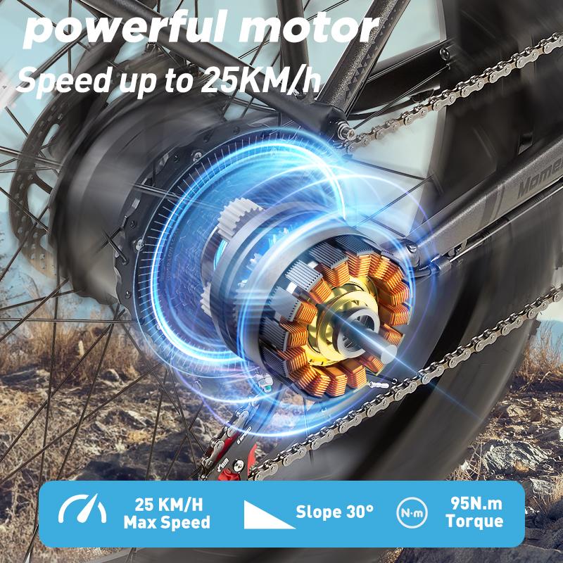 Bicicletta Elettrica Burchad Rx20 Motore di Picco 750W Ruote Grasse 26" Bicicletta Elettrica per Adulti Fuoristrada 48V 20Ah Freni a Doppio Disco 7 Velocità Display LCD
