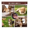 Dog Toy, Chewing, Educational Toy, Toothbrushing, Chewing Toy [For Medium-sized Dogs] Relieve Boredom, Relieve Stress, Improve Lack of Exercise, Safe