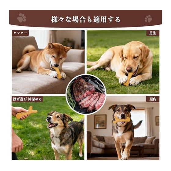 Dog Toy, Chewing, Educational Toy, Toothbrushing, Chewing Toy [For Medium-sized Dogs] Relieve Boredom, Relieve Stress, Improve Lack of Exercise, Safe