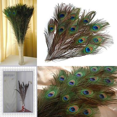 10Pcs Peacock Feathers Attractive DIY Creation Natural Peacock Eye Tail Feather for Party