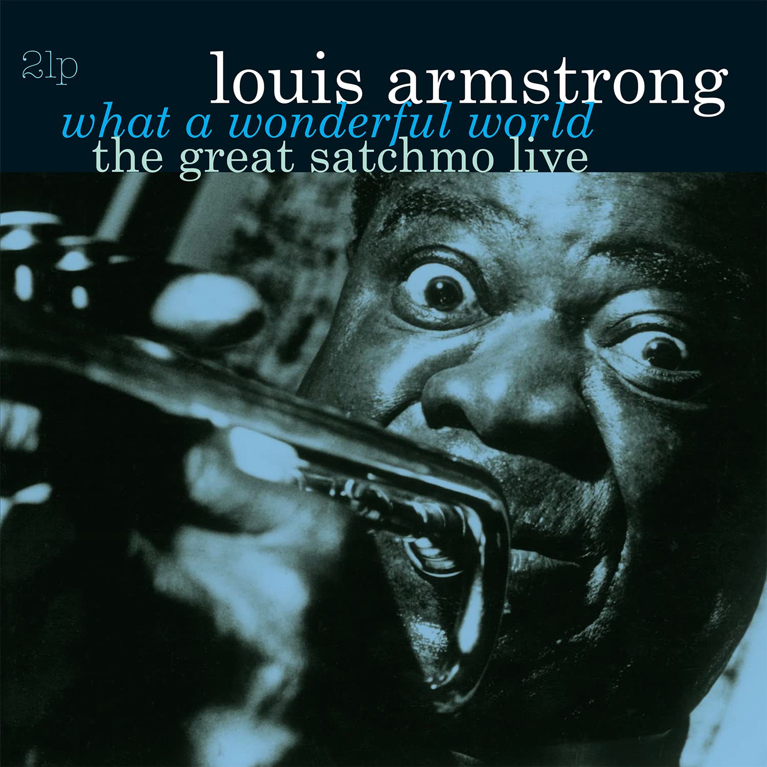 

What A Wonderful World The Great Satchmo Live - [Analog]