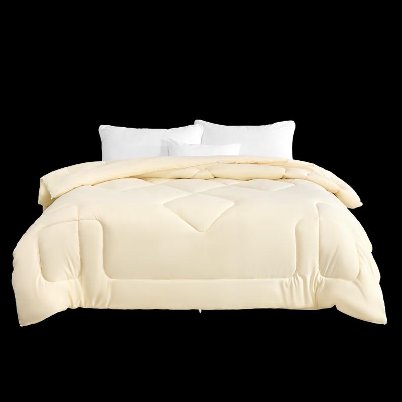

Mercury Home Textiles Antibacterial All-Season Quilt