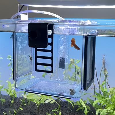 Brut-Inkubations-Isolierbox Aquarium Acryl-Fischbehälter Abnehmbares Edelstahlgewebe Fischbrut Zierfisch-Zuchtraum