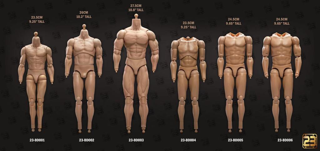Toy Hobby [TOYBARJAPAN] 1/6 Scale Action Figure 23TOYS BD001/02/03/04/05/06 Male Action Body (Limbs Not Included) (23-BD004 23.5CM)