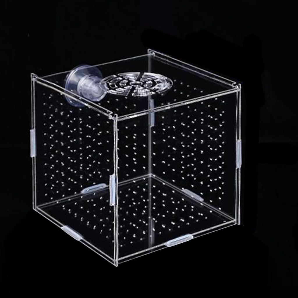 Breeding Isolation Container for Acrylic Tanks with Fry Holder