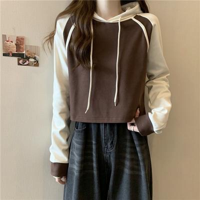Real Shot Color Matching Hooded Small Short Cotton Sweater Women's Thin Design Long-sleeved Top