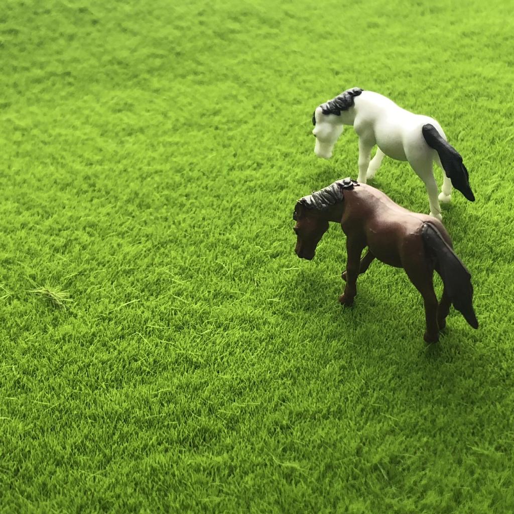 Creative Micro Landscape Decorative Moss & Turf Eco-Bottle