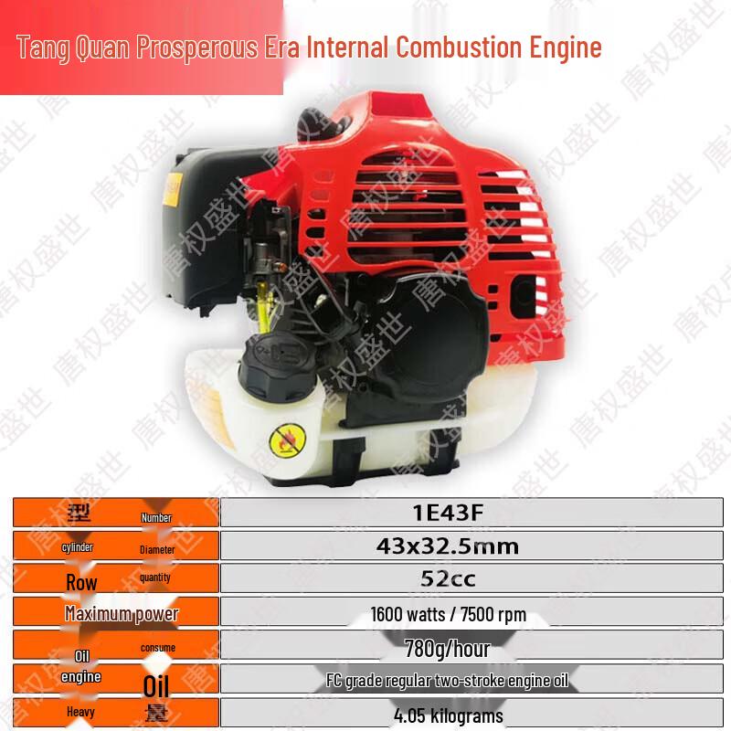 Tangquanshengshi Professional Gas-Powered Pole Saw and Training Equipment