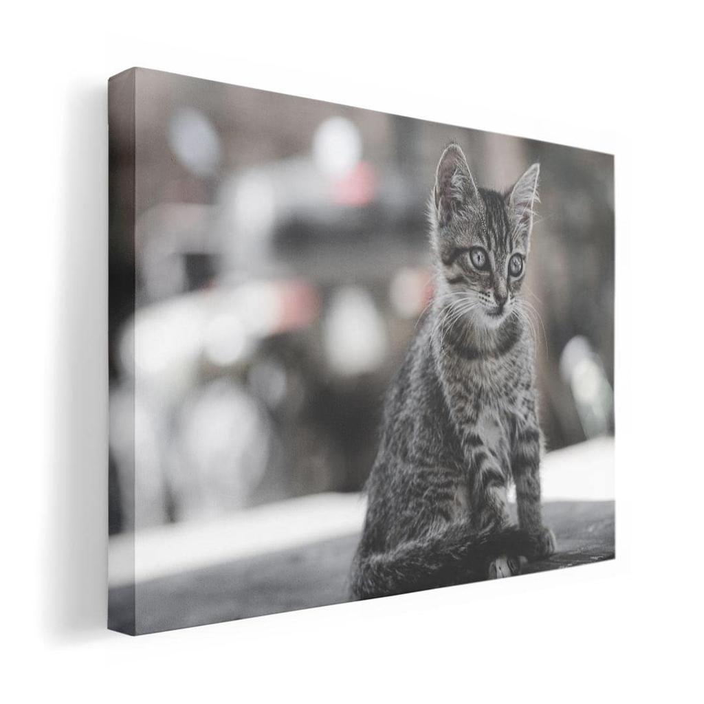 Art 420mm x Wall Wooden Stylish Interior Animal Photo Panel, Picture, Painting, Decoration, igsticker, 297mm, A3, Photo, Hanging, Frame, Decor,