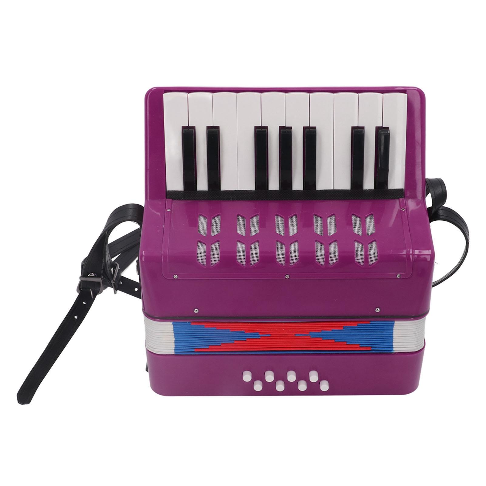 

Фортепианный аккордеон начального уровня 17 клавиш 8 басовых клавиш ABS с выдвижным ремнем портативный подарочный черный