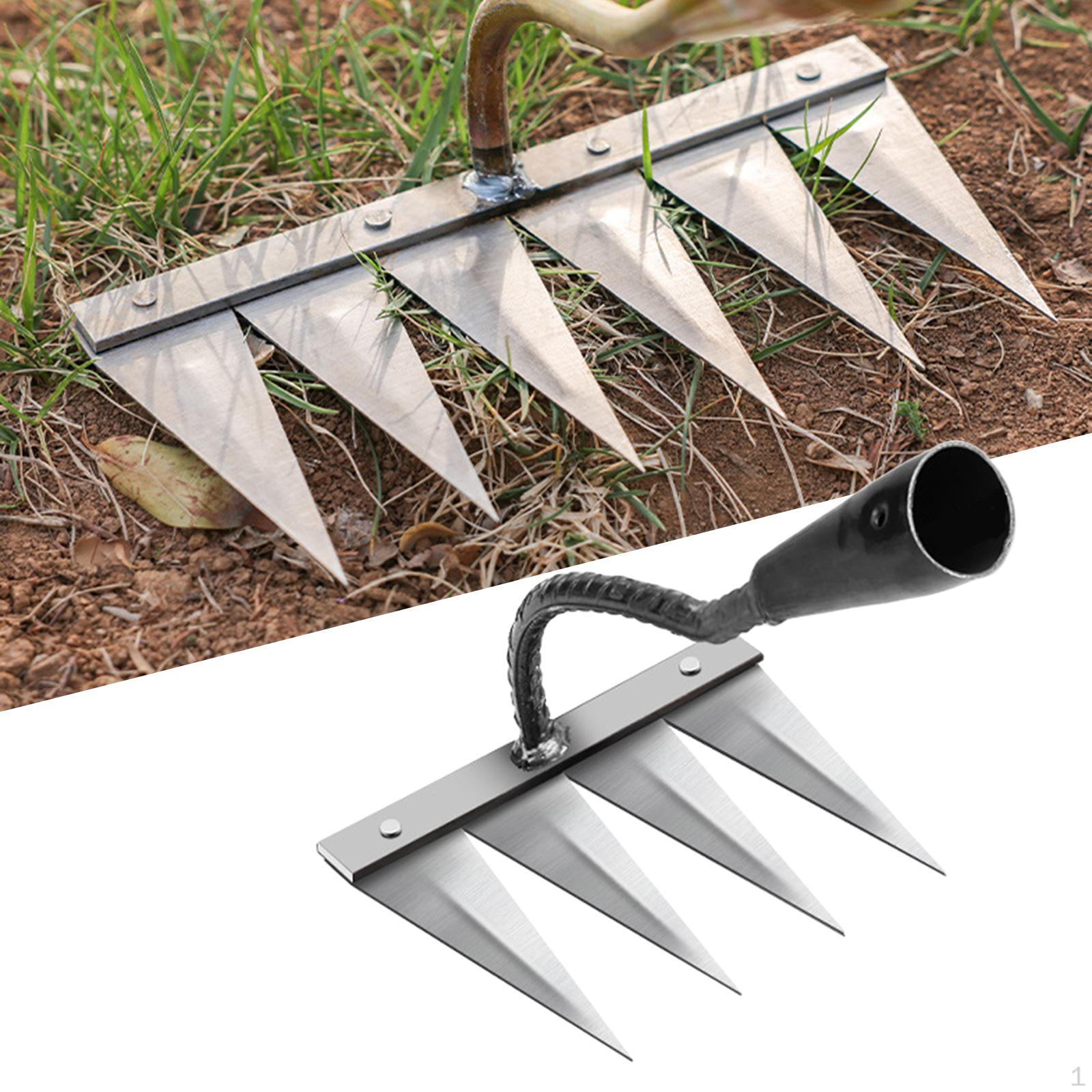 

Полость для прополки в саду 4 Tooth Steel