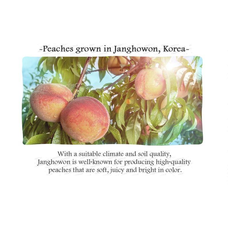 Skinfood Pfirsich-Baumwoll-Multi-Finish-Puder (Klein) 5g