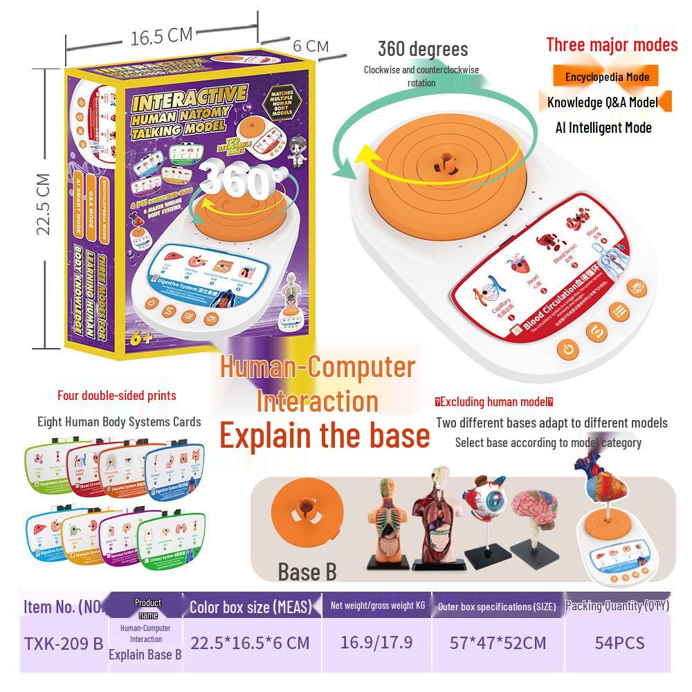 Interactive Human Skeleton Model Kit for Kids - DIY Educational Anatomy Set