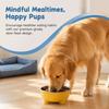Neck Protection Cat Food Bowl Stainless Steel Pet Feeder Creative Pet Feeding Dish  For Kittens