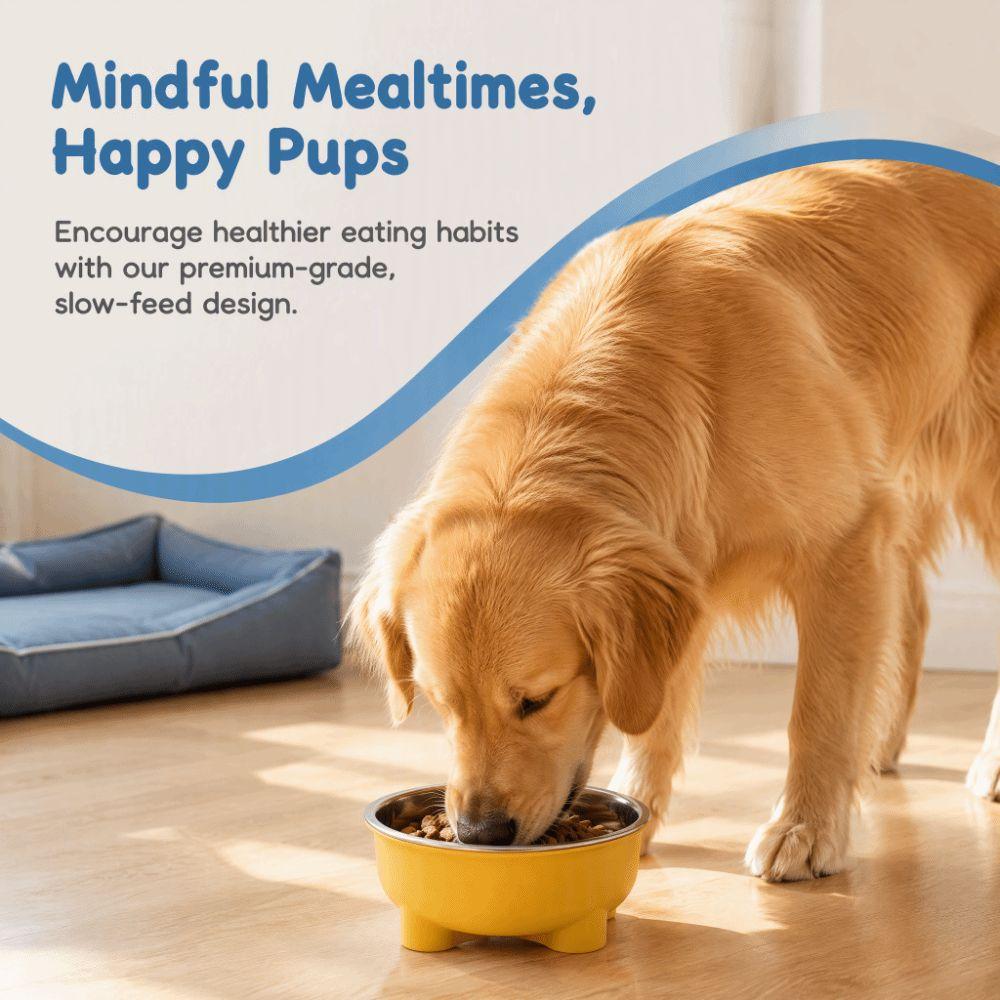 Neck Protection Cat Food Bowl Stainless Steel Pet Feeder Creative Pet Feeding Dish For Kittens