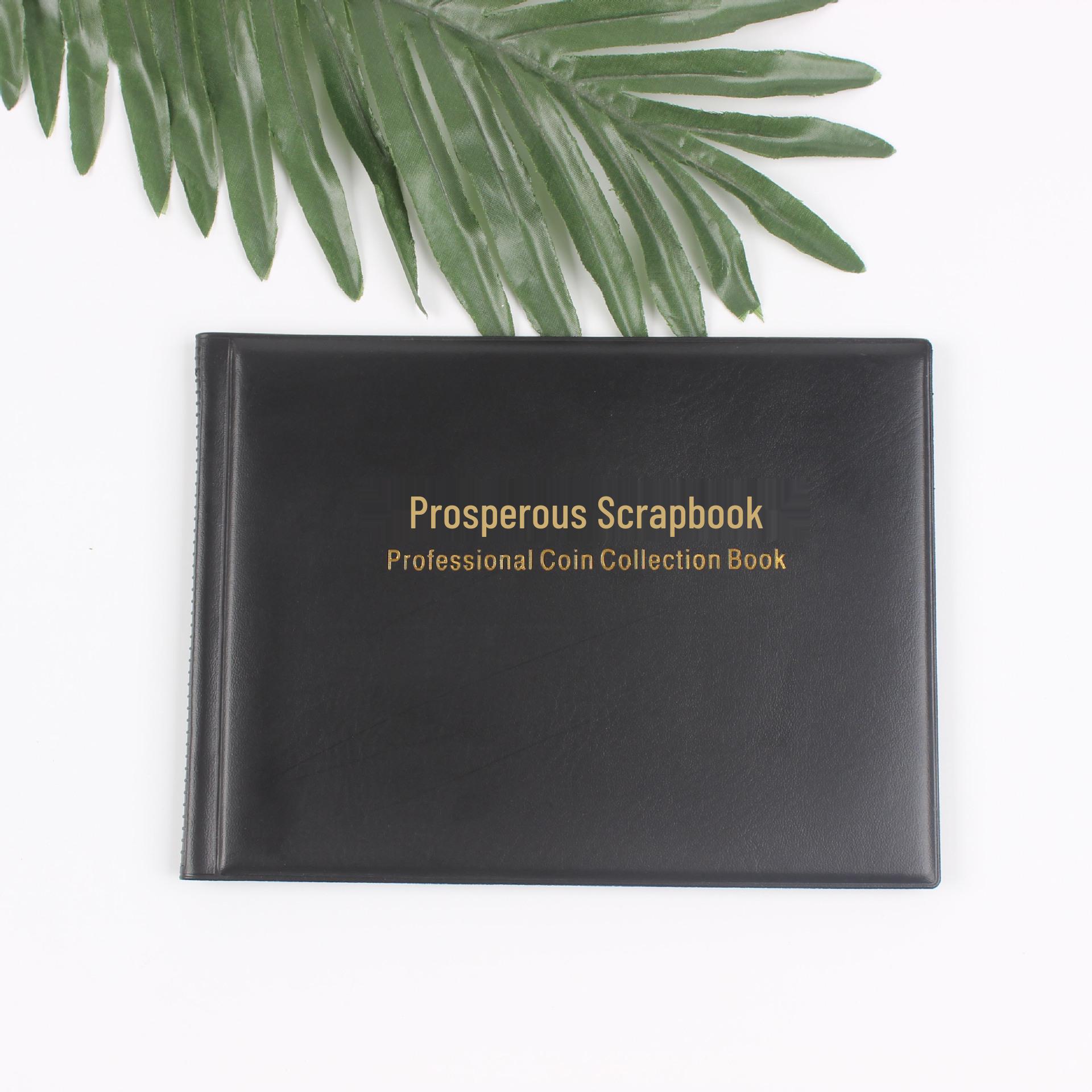 

Альбом для монет на 240 карманов для памятных и старинных монет - Решение для размещения и хранения чёрный