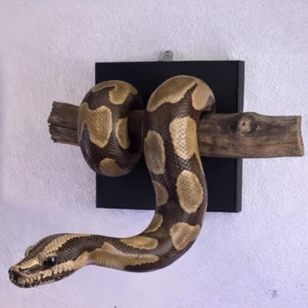 Gothic Accent 3D Metallic Snake Sculpture Realistic Python Hanging Decor Christmas Gift