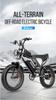 Ridstar Q20 Electric Bike 1000W Powerful Motor 48V20AH Oil Brake 20*4.0inch Fat Tire Ebike Mountain Snow Electric Bicycle