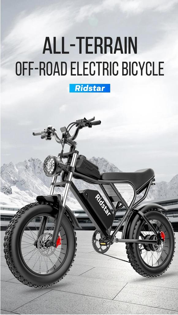 Ridstar Q20 Electric Bike 1000W Powerful Motor 48V20AH Oil Brake 20*4.0inch Fat Tire Ebike Mountain Snow Electric Bicycle