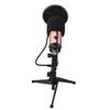 Condenser Microphone Kit with Tripod Stand USB Plug Recording Mic Live Broadcast Equipment
