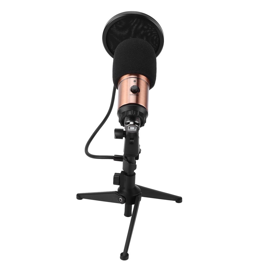 Condenser Microphone Kit with Tripod Stand USB Plug Recording Mic Live Broadcast Equipment