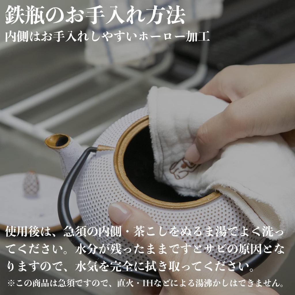 Nanbu Iron Teapot and Teacup Set Dome White Made In Japan with Enameled Interior and Tea Strainer Logia Seiryu Traditional Japanese Tea Pot Souvenir