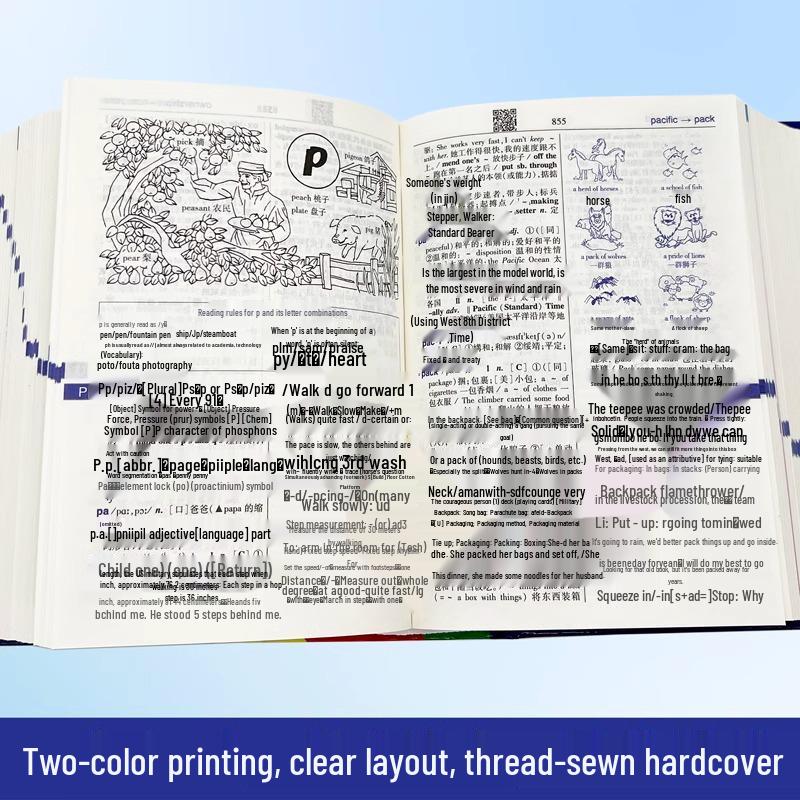 Student's Practical English-Chinese Dictionary: 8th Edition for Junior & Senior High