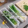 Cilantro Scallion Storage Box kitchen Fridge Freshness Herb Organizer With Lid Noodles Eggs Vegetable Preservation Container