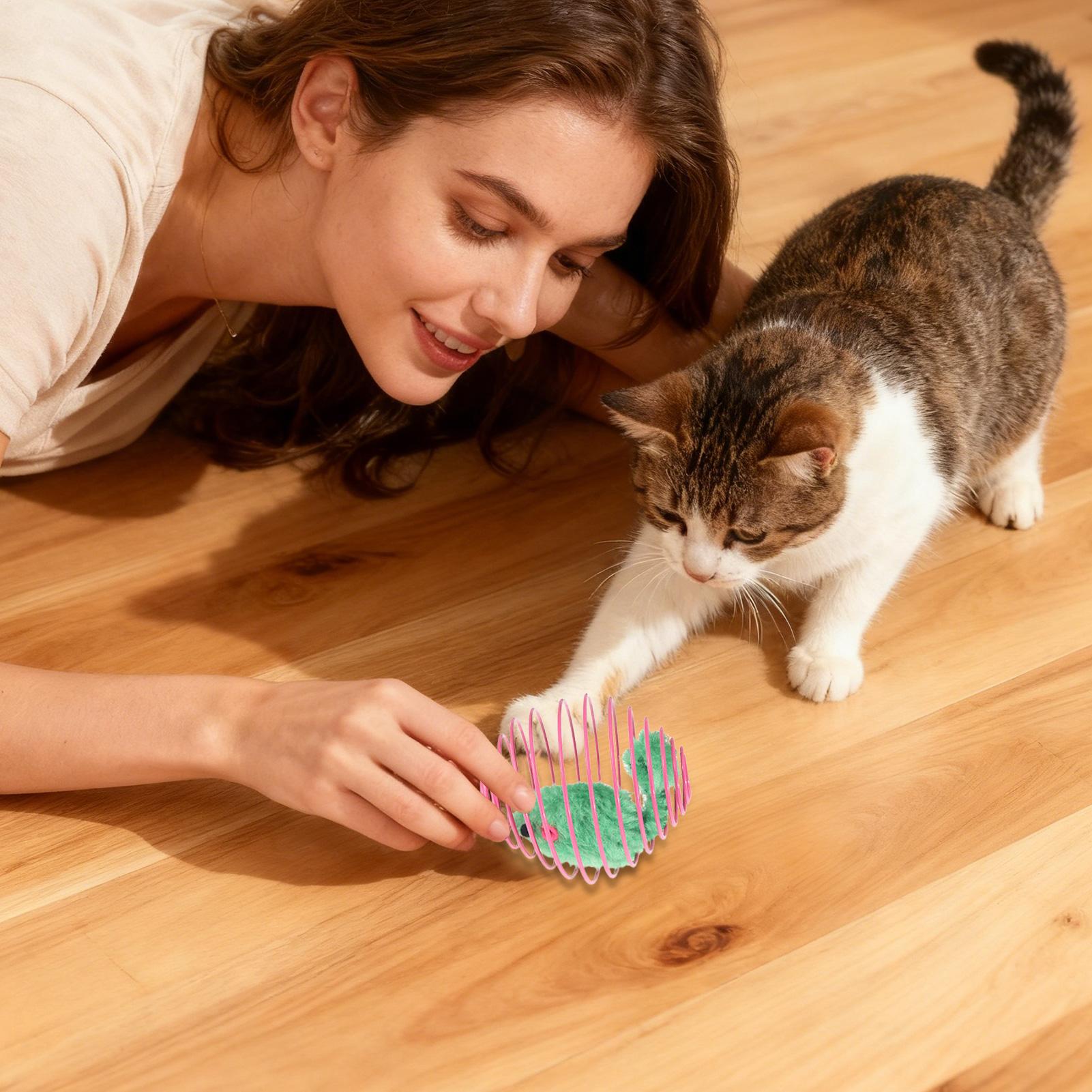 

Cat Spring Toy Interactive Fun Colorful Stretchable Spring Rolling Cat Toy For Home Outdoor Play Training Exercise Mental CHINA