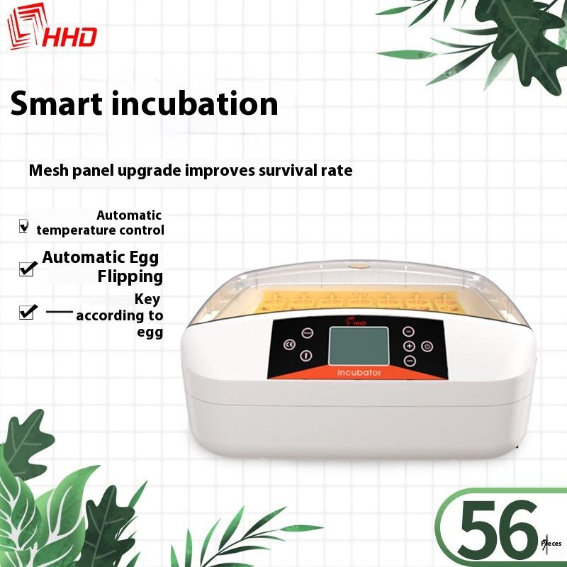 

Hhd Mini Automatic Incubator Egg Farming Quail 2024 New Innovation Controller Electric