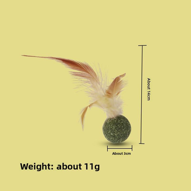Cat Mint Lollipop, Teeth Cleaning and Grinding Wood Aster Stick, Cat Mint Feather Self-amusement