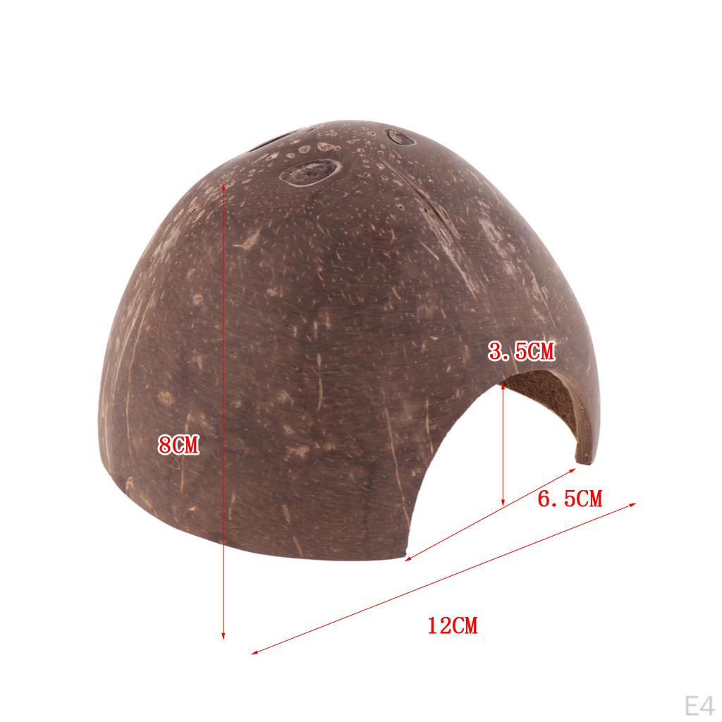 Hideout Natural Tunnel for Fish Small Animal Reptile Terrarium Ornament