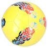 REGAIL Soccer Ball Size 5 Machine Sewn Football for Youth Indoor Outdoor Match or Games