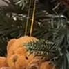 Plaid Bear Ornaments On The Tree Nohemi Decor Mini Stuffed Plush Plaid Bears Christmas Tree Decorations