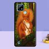 Cartoon Squirrel Case For Realme C75 C67 C61 C55 C53 C51 C35 C21Y C25S GT 7 Pro 6 6T 10 11 12 13 14 Pro Plus